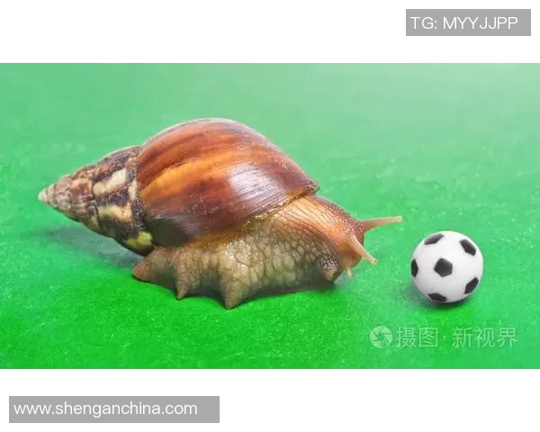 足球明星蜗牛的真实身份揭秘及其在足球界的影响力分析