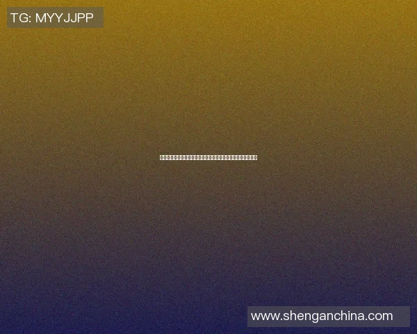 桐乡篮球明星的崛起与成长之路：从小镇到全国赛场的辉煌历程