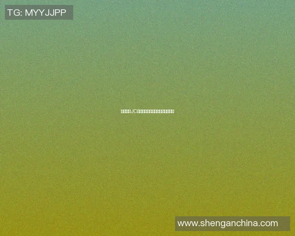 篮球明星JC的传奇之路与球场背后的奋斗故事